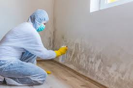 Best Real Estate Mold Inspection  in Marine City, MI